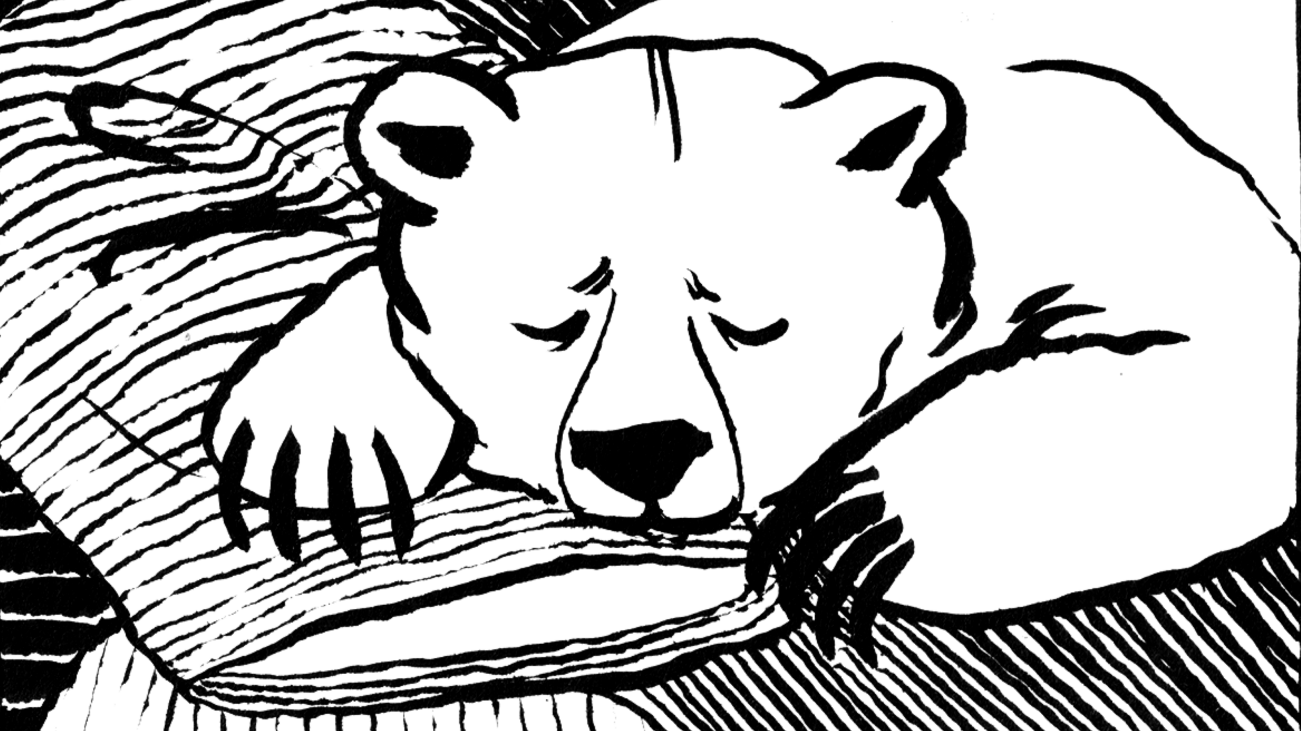 Bear with Me (2022)